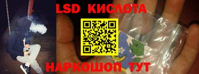 стафф Гатчина