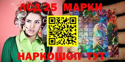 стафф Гатчина