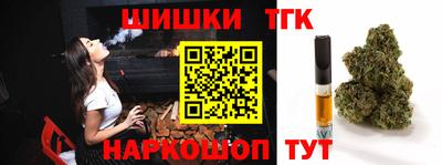 стафф Гатчина