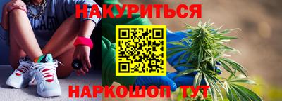 стафф Гатчина