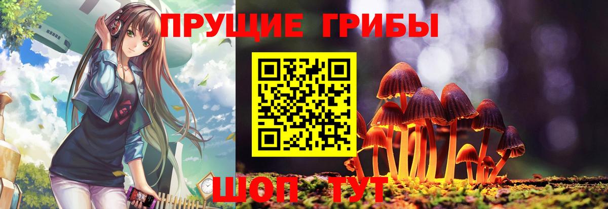 Псилоцибиновые грибы MAGIC MUSHROOMS Пугачёв