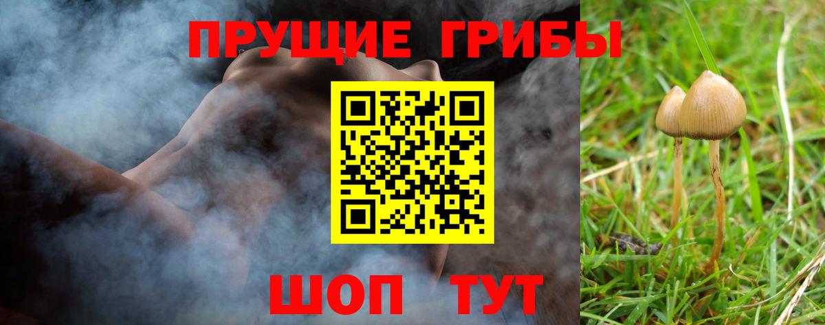 закладки  Вход с VPN  Пугачёв  Псилоцибиновые грибы прущие грибы 